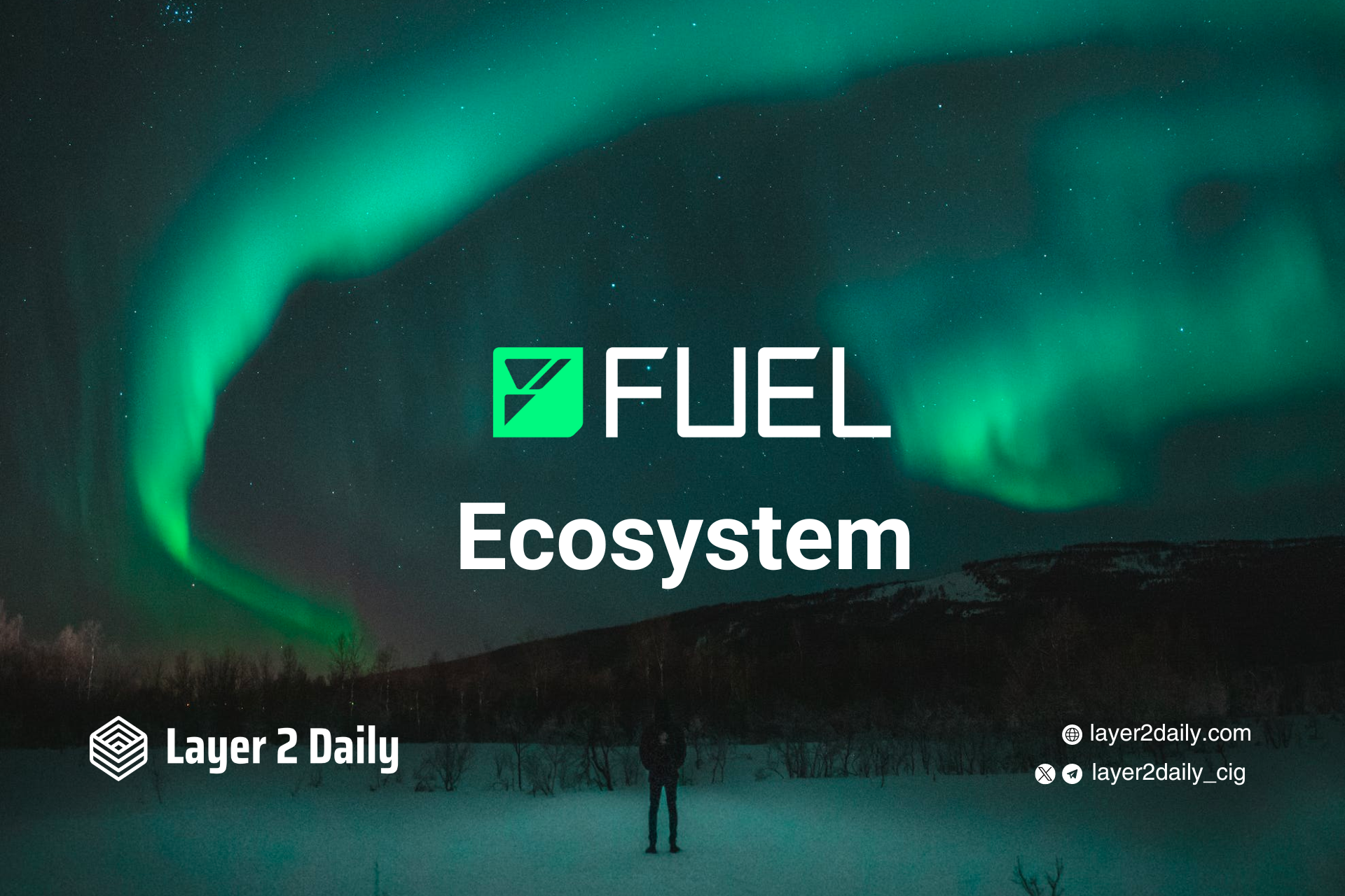 Overview of Fuel v1 Ecosystem